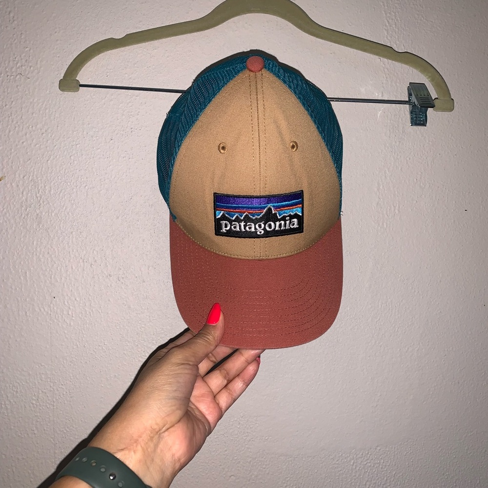 Patagonia Brown and Teal Cap